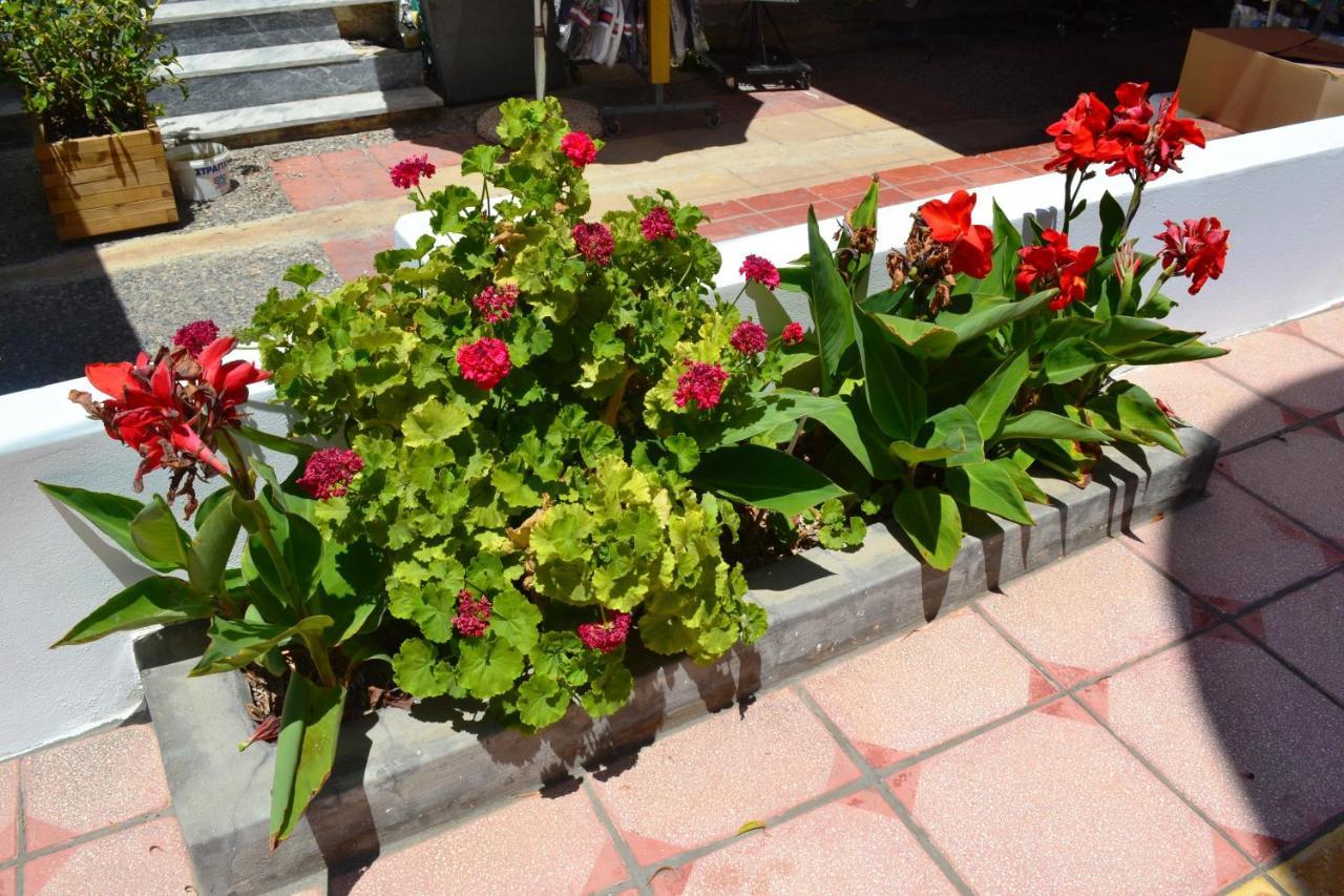 Hotel Arant Mastihari Exterior photo